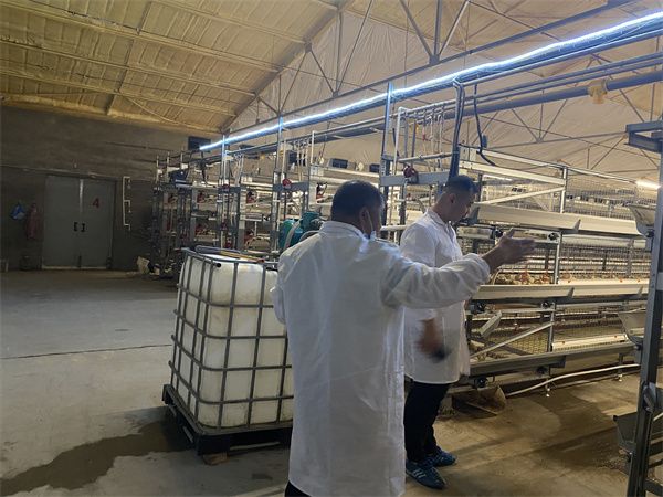 河南雞棚肉雞設備安裝現(xiàn)場